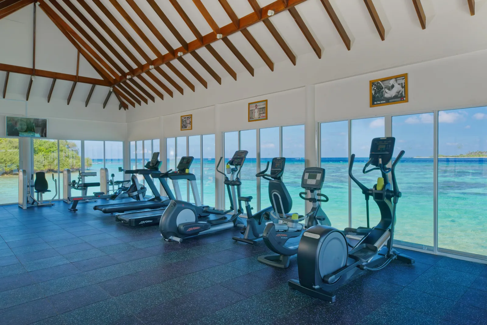 오블루 네이처 헬렝겔리 GYM